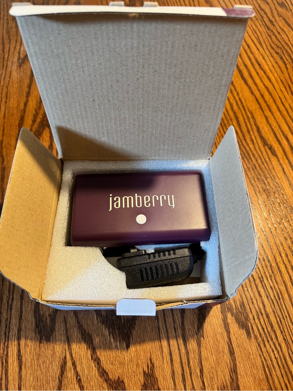 Jamberry TrūShine LED Curing Lamp in Plum and White